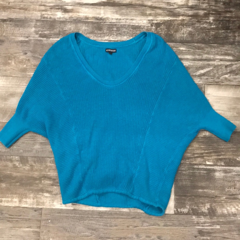 Express Blue Knit sweater